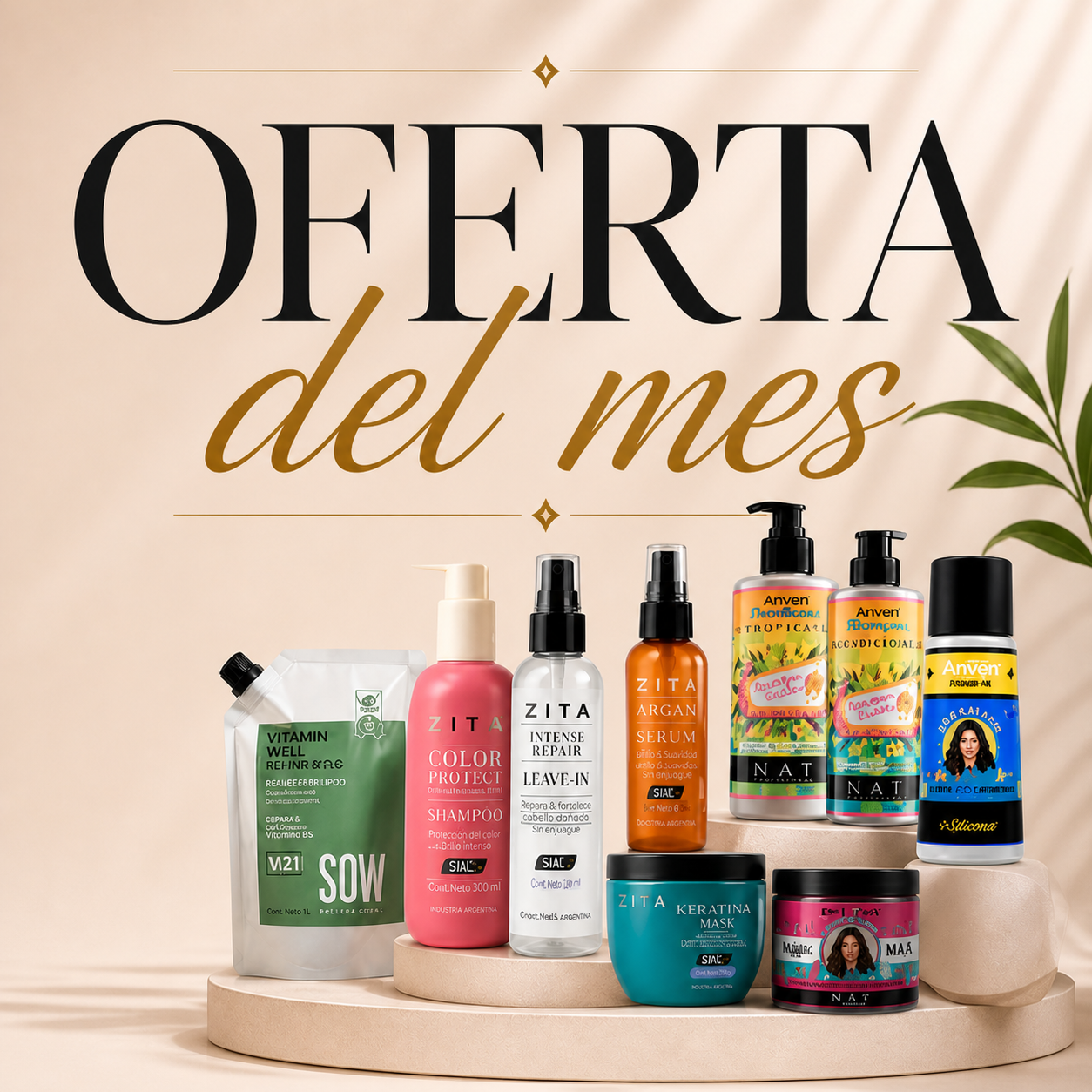 OFERTA DEL MES