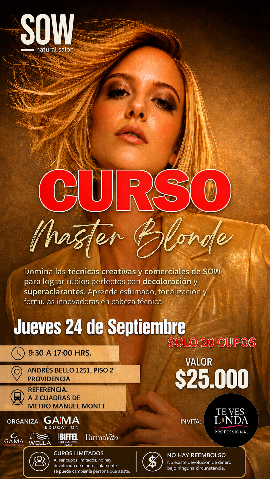 CURSO MASTER BLONDE – SOW Natural Salon